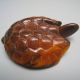19th Century Hand - Carved Longevity Turtle Horseshoe Nr Amulets photo 5