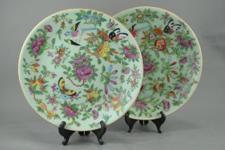 A Pair Of Large/pretty Chinese 19c Family Rose Plates - Jiaqing photo