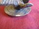 Wonderful Yixing Zisha ? Clay Pottery Old Pine With Bird Large Teapot Signed. Teapots photo 8