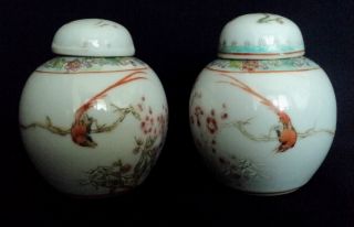 China Famille Rose 3 Inches Ribbon Bird Jewelry Canister photo