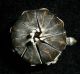 Collectable China Life Tool Bronze Lotus Shape Tortoise Statue Foot Light Lamp灯 Other photo 2