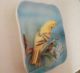 Yellow Canary Plaque By Napco B2791 Plates photo 1