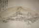 Chinese Landscape Fan Painting By 剩和尚 (乾隆时代) Paintings & Scrolls photo 1