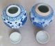 2 Antique Chinese Miniature Blue & White Porcelain Ginger Jars / Vases (2.  4 