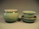 Japan Japanese Celadon Green Pottery Tea Cup Strainer & Lid 20th C. Glasses & Cups photo 1