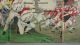Jw889 Woodblock Print By Nobukazu - Fierce Battle Sino - Japanese War Prints photo 4