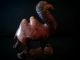 Vintage Asian Or Middle Eastern Camel Bronze Figurine Unknown photo 1