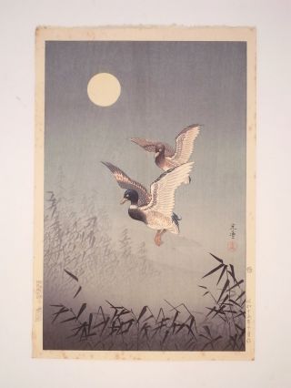 Koitsu Tsuchiya Japanese Woodblock Print Shin - Hanga Ducks,  Doi photo