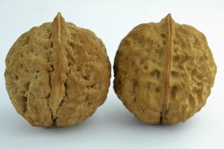 Asian Old Collectibles Decorated Wonderful Natural Pair Walnut For Toyed Statue photo
