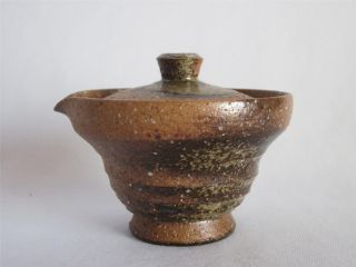 Japanese Shigaraki Ware Teapot Hobin; Tasteful Style/ Shiboridashi/ 231 photo