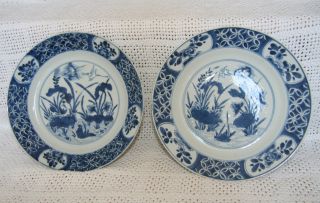 Pair Of Antique Chinese Blue & White Plates Kangxi Period 18th Century Excellent photo