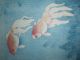 Japanese Antique Wood Block Gold Fish Print By Artist 