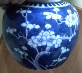 Old Chinese Jar & Cover Blue Prunis Flower Decoration photo