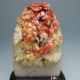 100% Natural Shoushan Stone Hand - Carved Statue - - Beans Nr/bg1791 Other photo 2