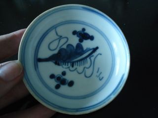 17thc Ming Dynasty Blue & White Fungus Plate Bowl photo