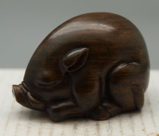 Oriental Hand Carved Wooden Netsuke - Wild Boar - Signed By Artist photo