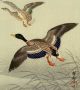Koson Japanese Woodblock Print Mallard Ducks In Flight - Rare Prints photo 1