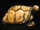 Antique Japanese Ox Bone Black Ink Washed Netsuke Turtle,  Signed Netsuke photo 1