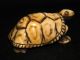 Antique Japanese Ox Bone Black Ink Washed Netsuke Turtle,  Signed Netsuke photo 2