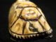 Antique Japanese Ox Bone Black Ink Washed Netsuke Turtle,  Signed Netsuke photo 4