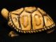 Antique Japanese Ox Bone Black Ink Washed Netsuke Turtle,  Signed Netsuke photo 6