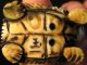 Antique Japanese Ox Bone Black Ink Washed Netsuke Turtle,  Signed Netsuke photo 8