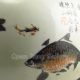 Chinese Porcelain Fish Tank W Mark Nr Pots photo 3