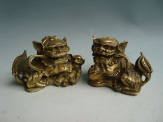 878g Chinese Brass A Pair Of Lions Statue Nr photo