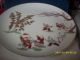 Fukagawa Porcelain Dish Plates photo 1