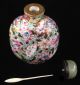 19th Century Chinese Porcelain Snuff Bottle,  Hand Painted Flower Design,  Signed Snuff Bottles photo 3