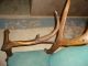 1890 ' S Elk Horn Chair Other photo 3