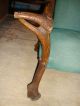 1890 ' S Elk Horn Chair Other photo 6
