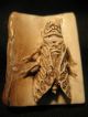 Rare Antique Japanese 象牙 Ox Bone Netsuke Cicada Insect On A Bamboo,  Signed Netsuke photo 1