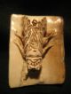 Rare Antique Japanese 象牙 Ox Bone Netsuke Cicada Insect On A Bamboo,  Signed Netsuke photo 3