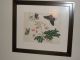 2 Antique Chinese Watercolor On Rice Paper Circa 1825 Butterflies On Flowers Prints photo 1