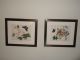 2 Antique Chinese Watercolor On Rice Paper Circa 1825 Butterflies On Flowers Prints photo 2