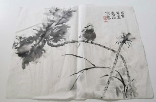 Chinese Painting Of Bird On A Branch On Soft Paper.  Artist Signed photo