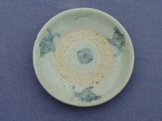 Blue & White Chinese Ming Dynsty Dish Fish & Seal Desgn photo