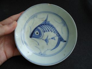 17thc Ming Dynasty Blue & White Fish Plate Bowl photo