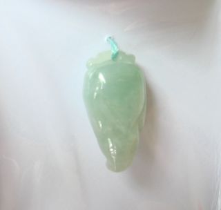Antique Vintage Chinese Jadeite Jade Pendant Necklace Corn photo