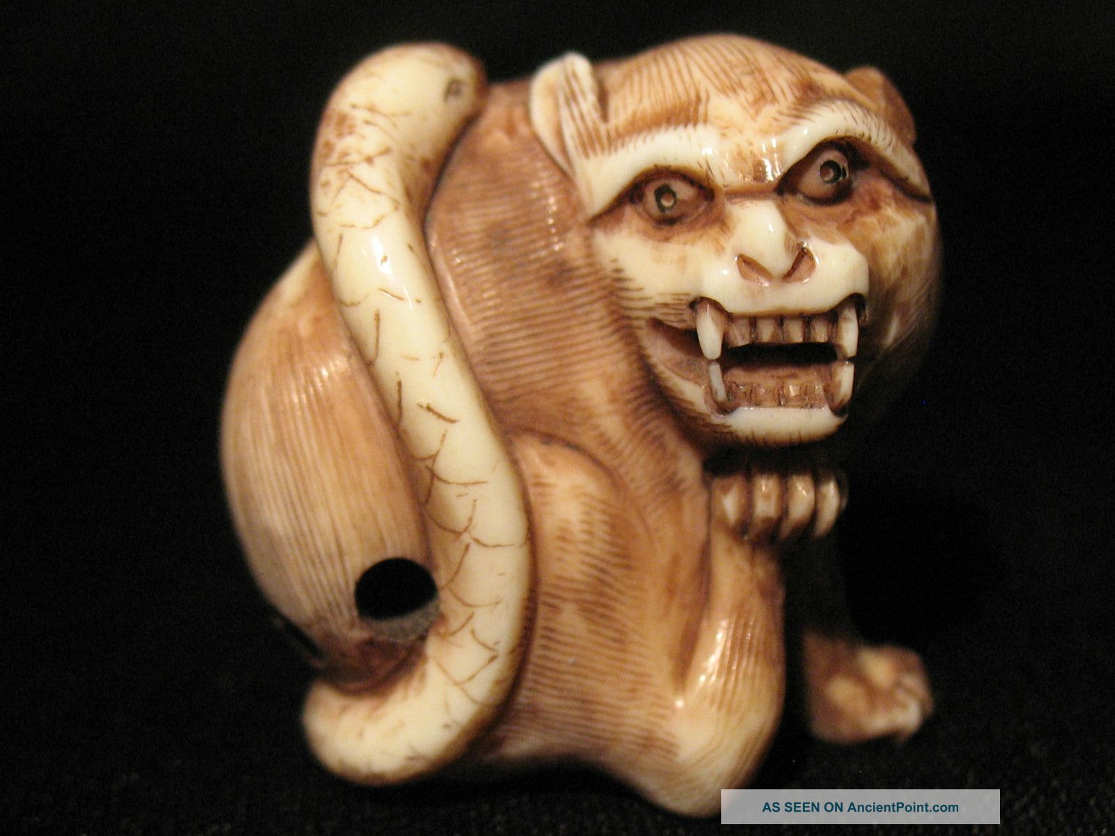 Antique Japanese 象牙 Ox Bone Netsuke Monkey W.  A Snake,  Signed,  Amazing Details Netsuke photo