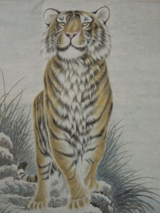 395 Chinese Big Makuri Hanging Scroll Jiku China Art 馮大中 Fudaichu　tiger photo