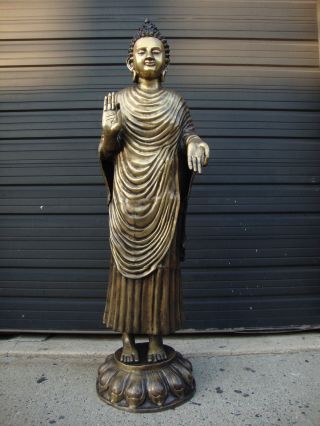 Thai Bronze Buddha Statues photo
