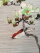 164 ~white Magnolia And A Sparrow~ Antique Hanging Scroll Paintings & Scrolls photo 3