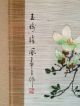 164 ~white Magnolia And A Sparrow~ Antique Hanging Scroll Paintings & Scrolls photo 5