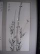 Chinese Ink Drawing On Paper (signed By Artist Shao Ying Tsai) Prints photo 3