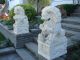 Architectural Garden Chinese Guardian Lion Carved Marble Foo Dogs Foo Dogs photo 1