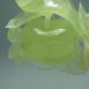100% Natural Xiu Jade Hand - Carved Statues - - - Apple Nr/xy1840 Other photo 6