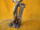 Dragon Sculpture Copper Chinese Old Ancient Dragons photo 6