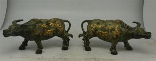 Pair Of Oriental Ox - Chinese Bronze Feng Shui Sculptures - Verdigris Patina photo